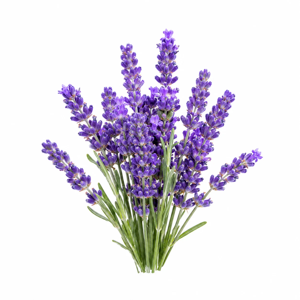 Rustgevende Geuren met lavendel, bergamot, balsem