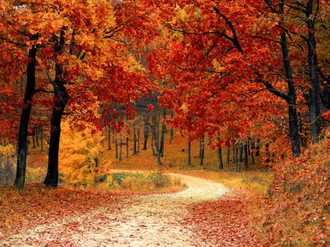 Herfst