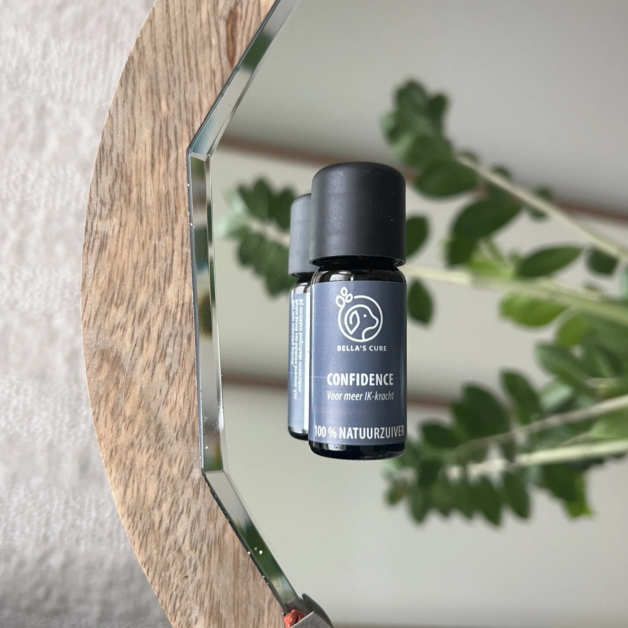 confidence bella's cure de groene linde
