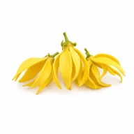 Ylang Ylang etherische olie van Natuurzuiver