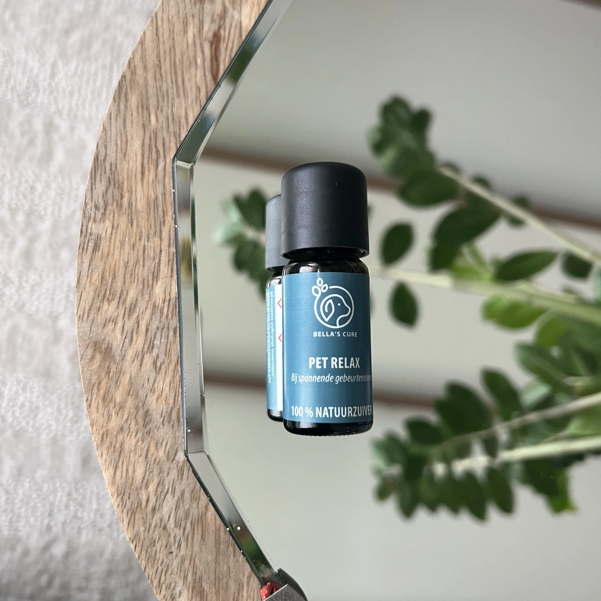 pet relax, bella's cure, de groene linde