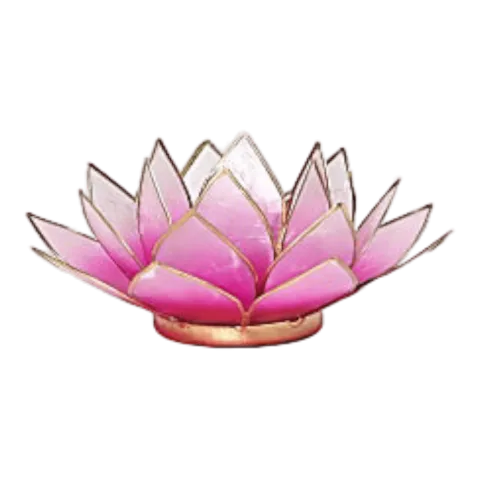 Lotus sfeerlicht | Roze & Lichtroze