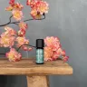 Cough & Sniffs | Olie