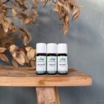 Burn Out | Good Night | Olie