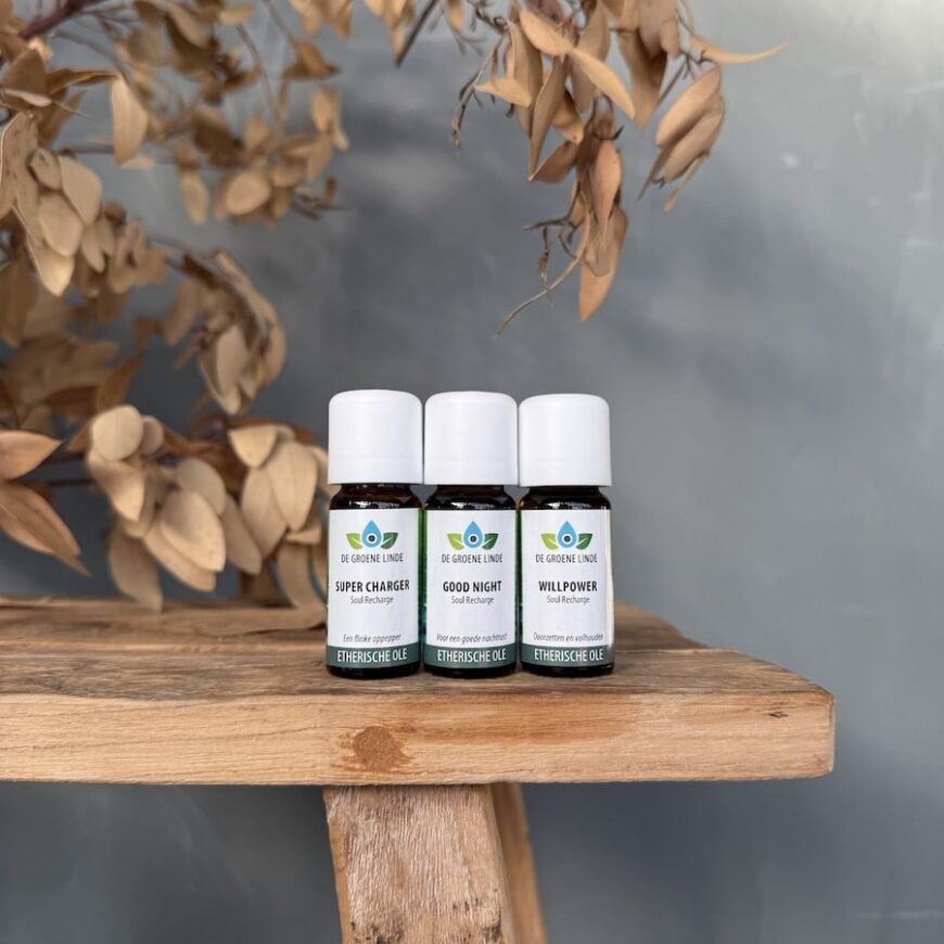 Burn Out | Good Night | Olie Burn Out | Good Night | Olie