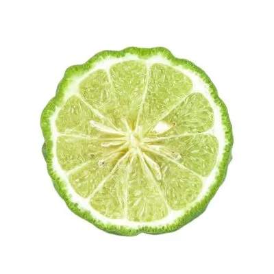 Bergamot Reggio | Olie