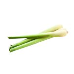 Lemongrass | Olie