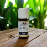 Tea Tree | Olie
