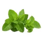 Tension Buster | Hoofdpijn roller