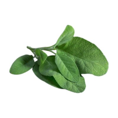 De Groene Linde | Salie | Olie