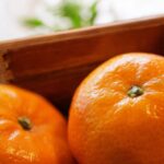 Tangerine | Olie