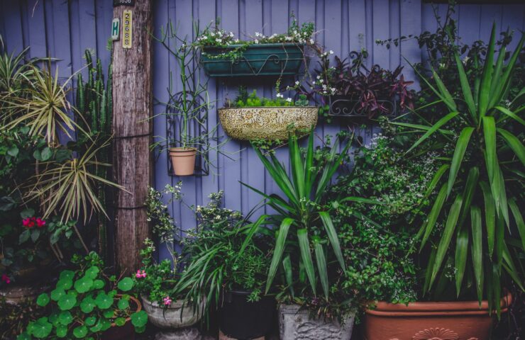 Biologisch tuinieren en ongedierte bestrijden