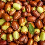 Jojoba olie KP