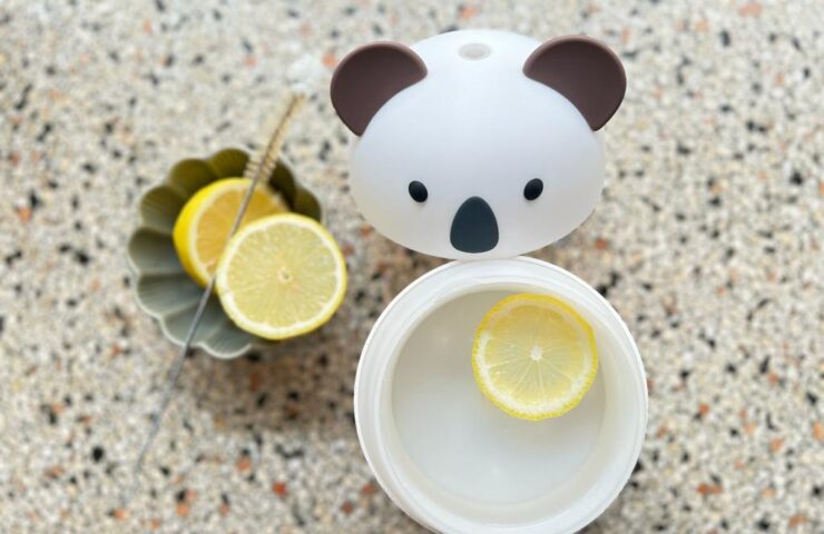 Hoe maak ik een diffuser schoon?