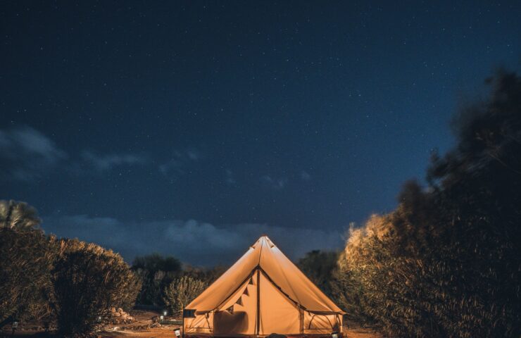 6 x effectieve etherische oliën om muggen af te weren