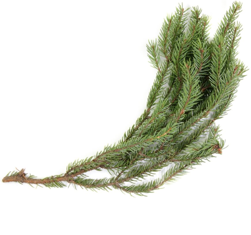 Witte Draak | Auraspray