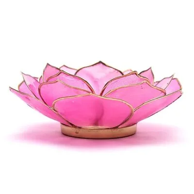 Lotus sfeerlicht | Bladvorm | Roze