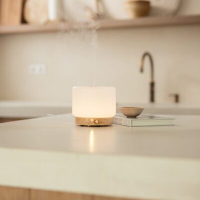Lotus Diffuser | Stockholm | Karper | 280 ML