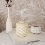 Rotan Diffuser | Fiji | 90 ML