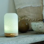 Lotus Diffuser | Sumatra | Glas