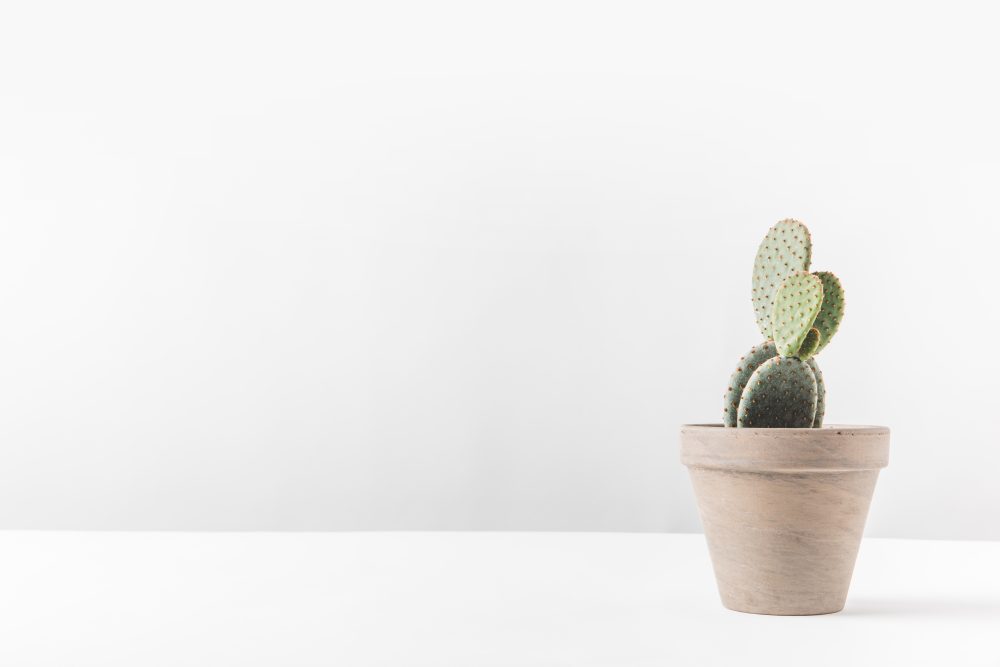 etherische olie bij overprikkeling