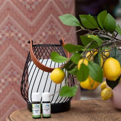 Lotus Diffusers