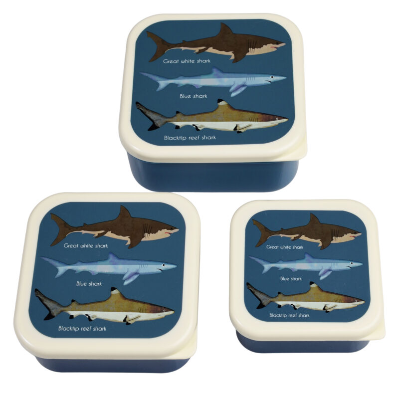 Snack boxjes | Rex London | Shark