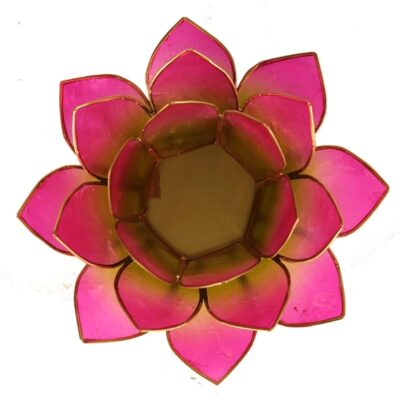 Lotus sfeerlicht | Groen & Roze