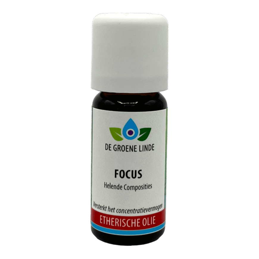 Focus | Olie