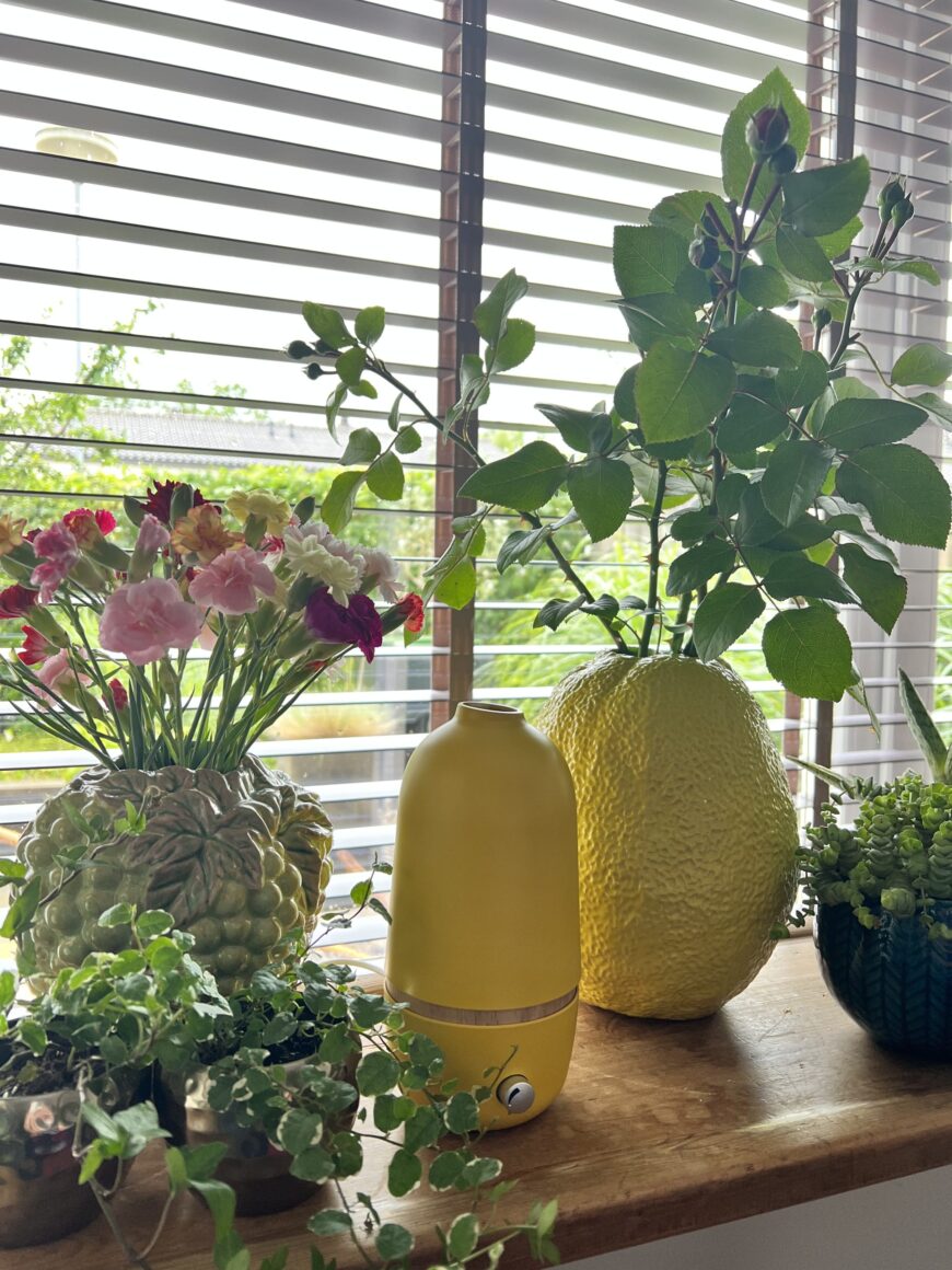 Lotus Diffuser | London Mustard | Olie vernevellaar