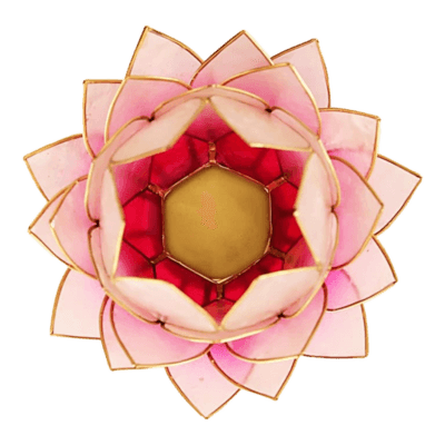 8A46D0AA-482E-4CBA-A3C9-6EAFD218623A.png