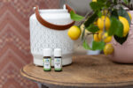 Draadloze Diffuser | Madrid | 160 ML