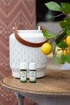 Outdoor (voorheen BZZ OFF) | Olie