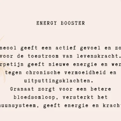 Typisch Shanna | Edelsteen armbandje | Energy Booster