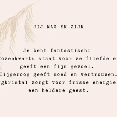 Typisch Shanna | Edelsteen armbandje | Jij mag er zijn!