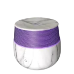 Aroma Diffuser | Florence | 140 ML