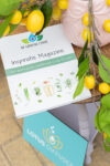 De Groene Linde Inspiratie Magazine