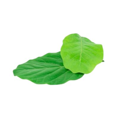 De Groene Linde | Petitgrain | Olie