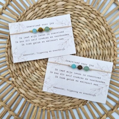Typisch Shanna Edelsteenarmband Overvloed Voor Jou Zilverkleurig Goudkleurig
