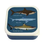 Snack boxjes | Rex London | Shark