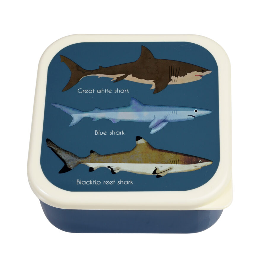 Snack boxjes | Rex London | Shark