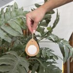 Geursteen Hanger | Hout Druppel