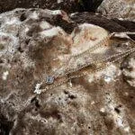 L'Heure Dorée | Âme Soeur ketting