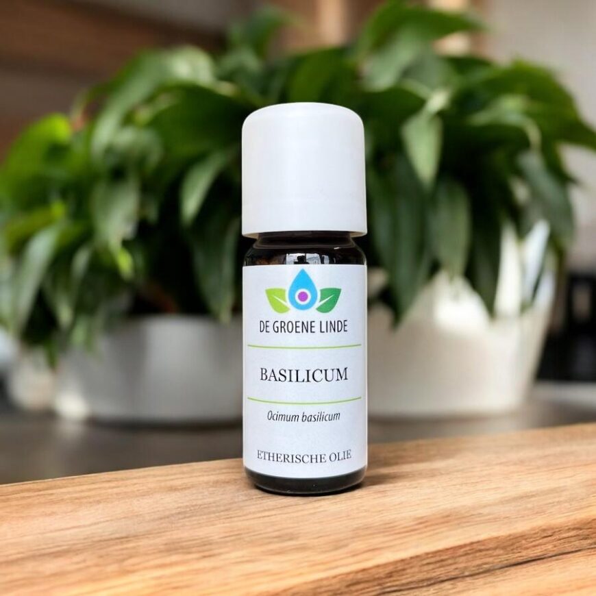 Basilicum | Olie Basilicum | Olie