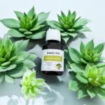 Avocado olie RF (Raffinée)