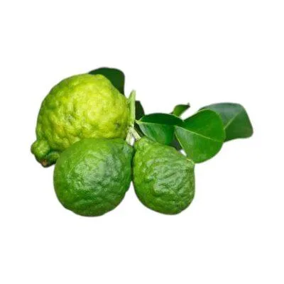 Bergamot Reggio essentiele olie