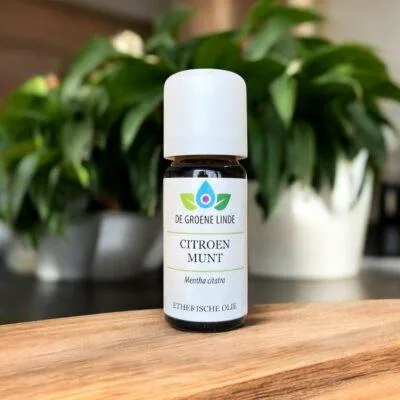 Citroenmunt | Olie