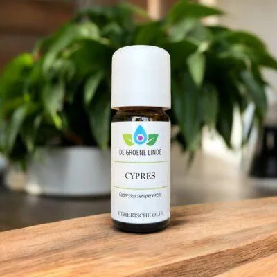 Cypres | Olie