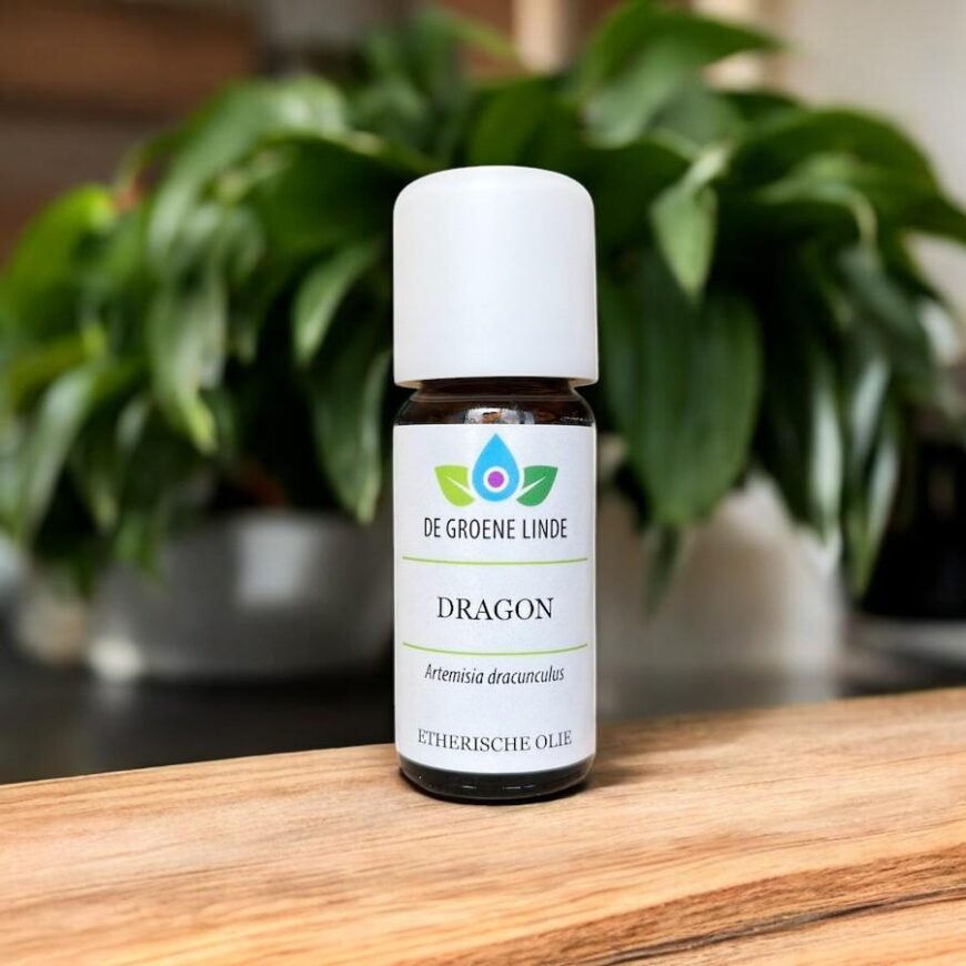 Dragon | Olie
