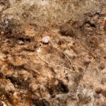 L'Heure Dorée | Étoile Filante armband